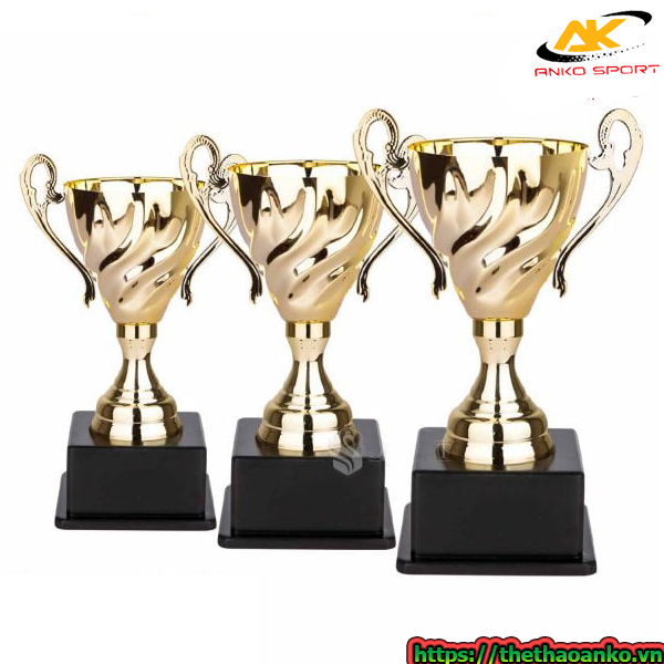 cup-the-thao-mdg-0010-gia-re-tai-nam-dinh-ninh-binh-bac-giang