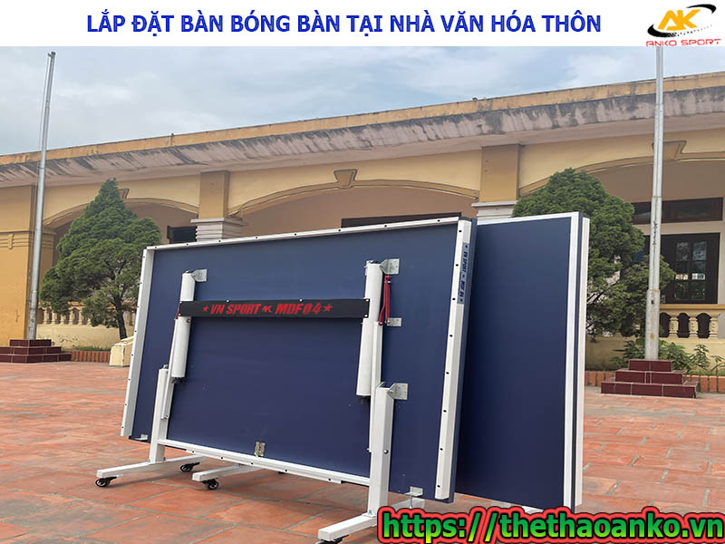 du-an-ban-bong-ban-tai-nha-van-hoa-thon-dai-lo-ninh-so-thuong-tin-ha-noi-7