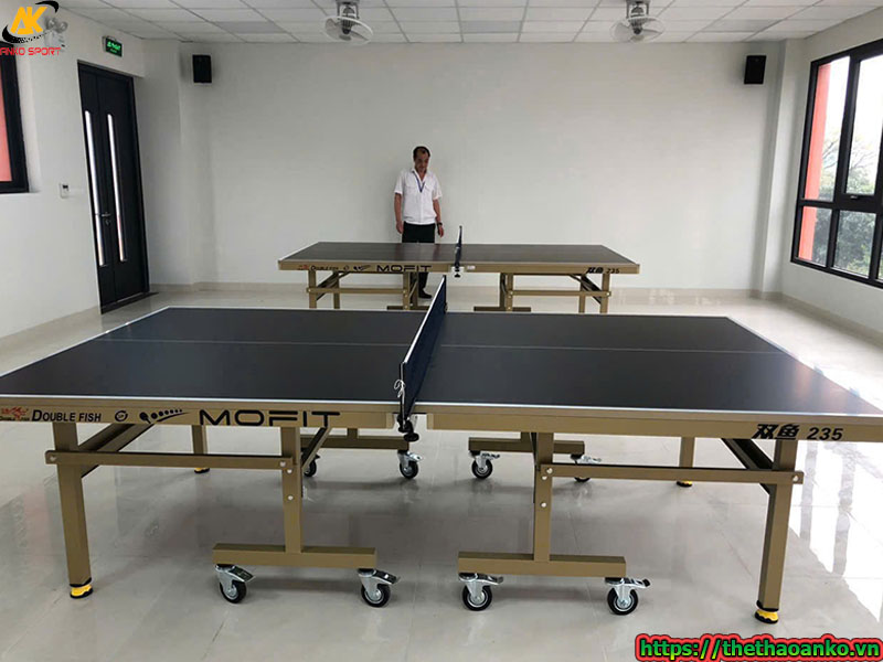 du-an-lap-dat-va-cung-cap-dung-cu-bong-ban-cho-truong-hoc-tai-hai-phong-1