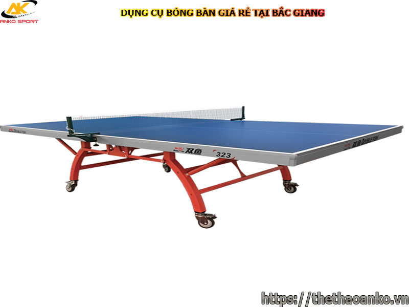 dung-cu-bong-ban-gia-re-tai-bac-giang