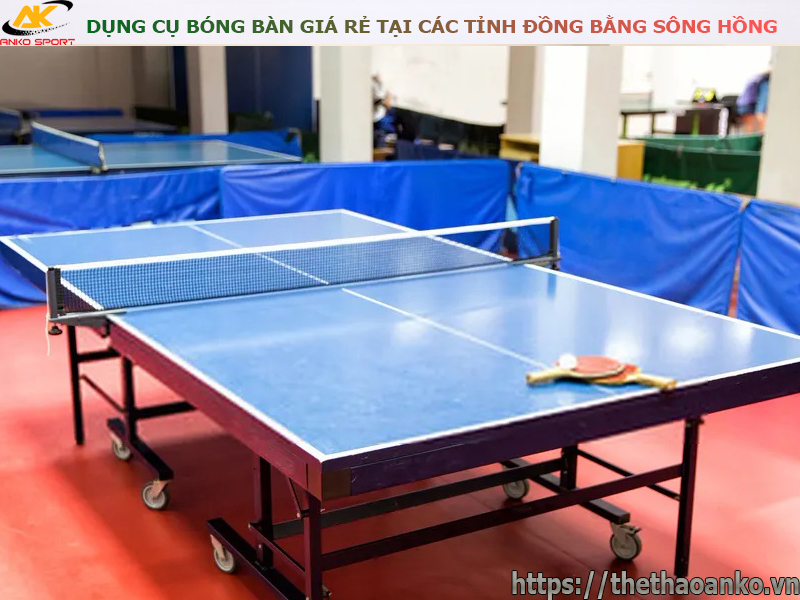 dung-cu-bong-ban-gia-re-tai-ha-nam-nam-dinh-ninh-binh