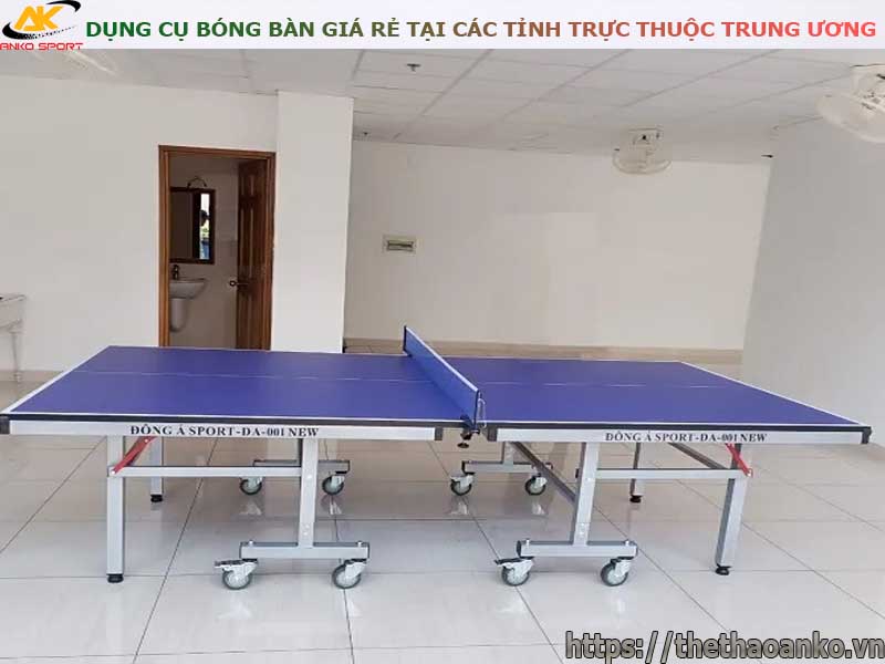 dung-cu-bong-ban-gia-re-tai-ha-noi-hai-phong-da-nang-tphcm-can-tho