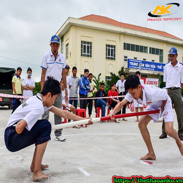 gay-thi-dau-mon-day-gay-gia-re-tai-hai-duong