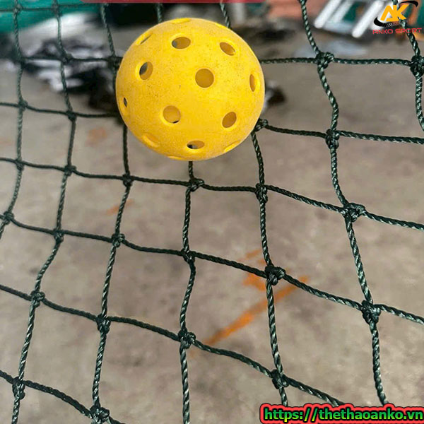 luoi-quay-san-bong-pickleball-loai-3ly-tai-dien-bien