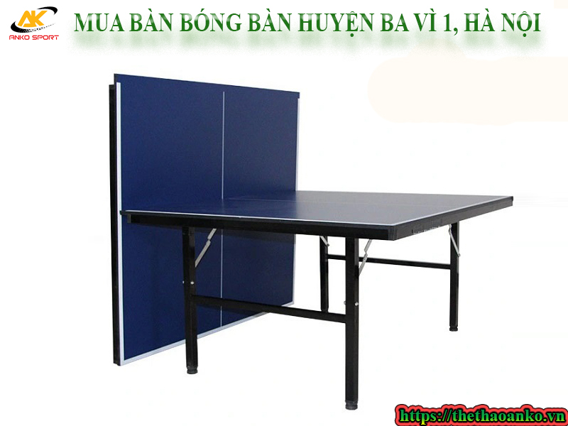 mua-ban-bong-ban-gia-re-huyen-ba-vi-1
