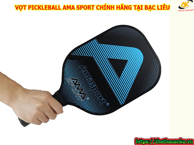 mua-vot-pickleball-ama-o-dau-chinh-hang-gia-re-tai-bac-lieu