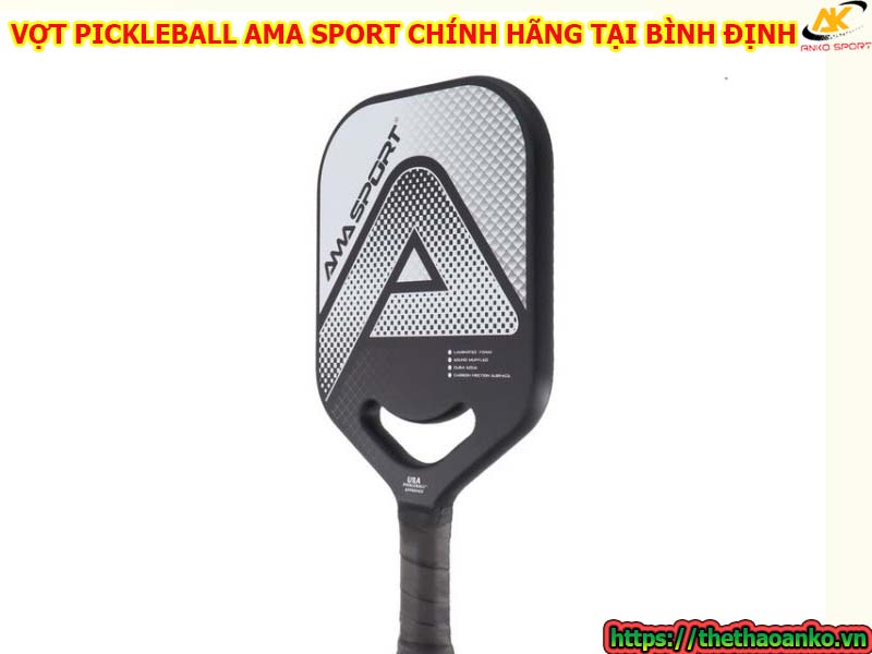 mua-vot-pickleball-ama-o-dau-chinh-hang-gia-re-tai-binh-dinh