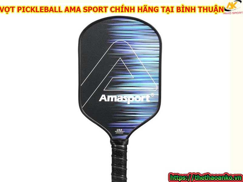 mua-vot-pickleball-ama-o-dau-chinh-hang-gia-re-tai-binh-thuan