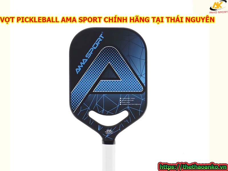 mua-vot-pickleball-ama-o-dau-chinh-hang-gia-re-tai-thai-nguyen