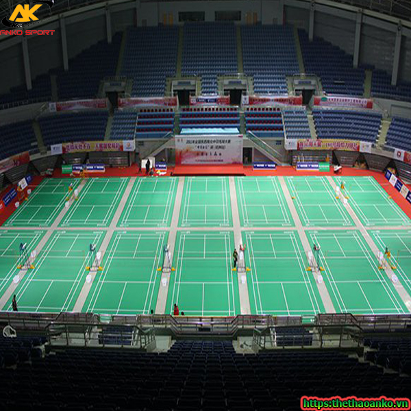 tham-cau-long-enlio-a-23150-gia-re-quan-bac-tu-liem-3