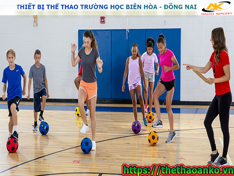 thiet-bi-the-duc-the-thao-truong-hoc-gia-re-tai-dong-nai