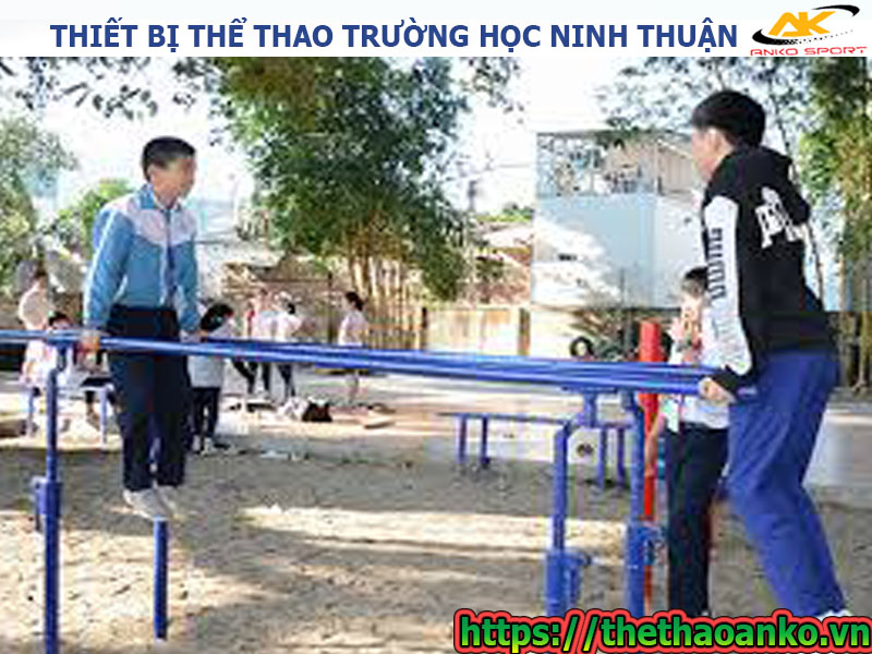 thiet-bi-the-duc-the-thao-truong-hoc-gia-re-tai-ninh-thuan
