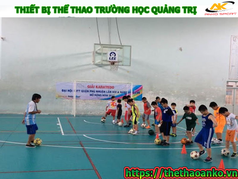 thiet-bi-the-duc-the-thao-truong-hoc-gia-re-tai-quang-tri