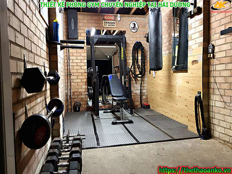 thiet-ke-va-cung-cap-thiet-bi-phong-gym-chuyen-nghiep-o-hai-duong