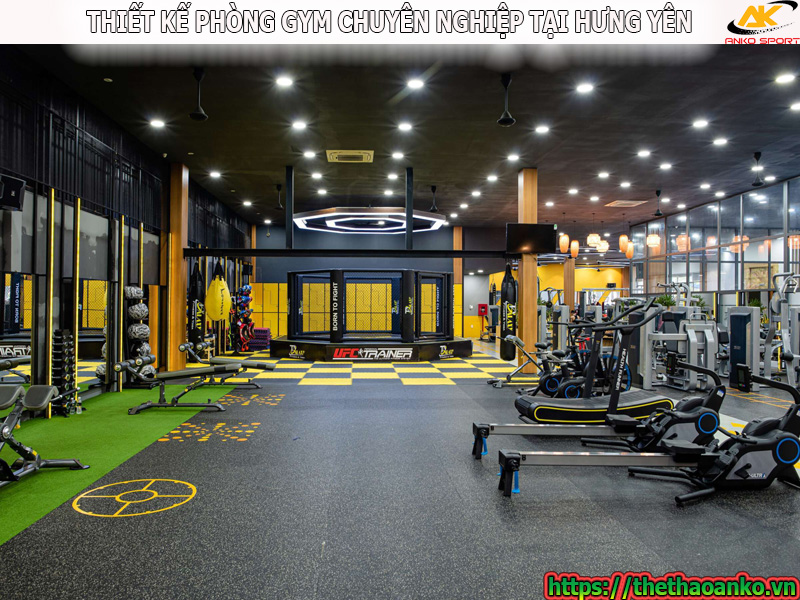thiet-ke-va-cung-cap-thiet-bi-phong-gym-chuyen-nghiep-o-hung-yen