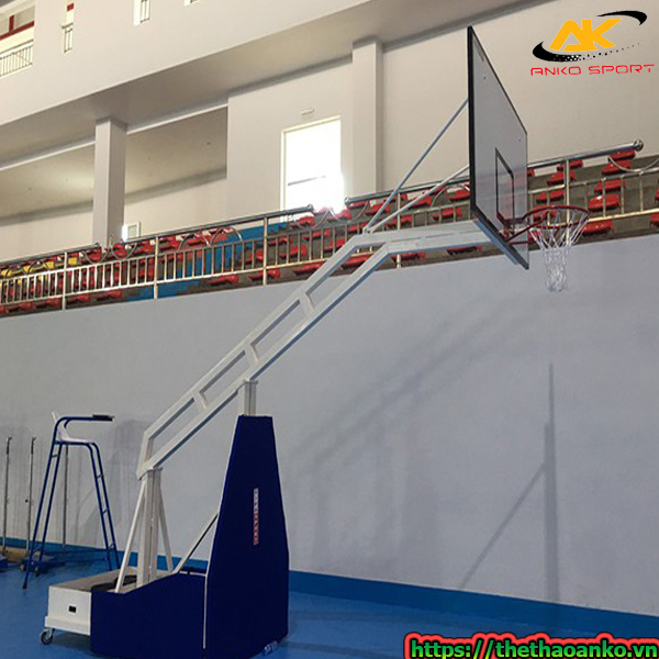 tru-bong-ro-vifa-sport-802860-gia-re-tai-quan-dong-da-ha-noi-1