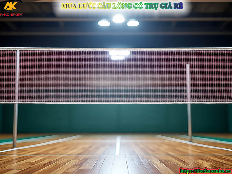 tru-luoi-cau-long-gia-re-tai-ha-noi-an-giang-ca-mau-lai-chau