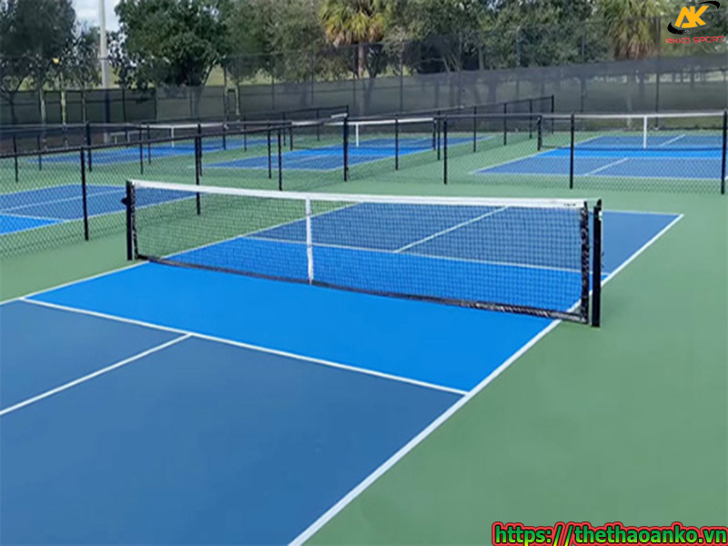 tru-luoi-pickleball-gia-re-lua-chon-hoan-hao-cho-san-choi-cua-ban