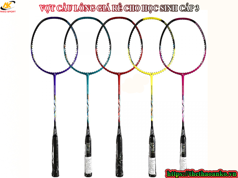 vot-cau-long-gia-re-cho-hoc-sinh-cap-3