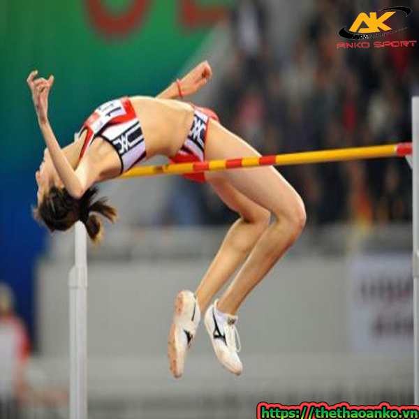 Xa-nhay-cao-tap-luyen-T002-gia-re-tai-ha-nam