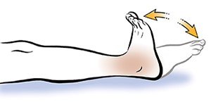 Gấp duỗi cổ chân | BsXuongkhop.com