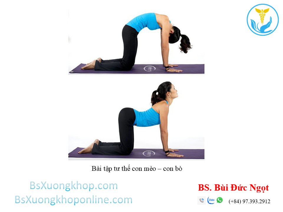Bài tập Tư thế con mèo - bò ||| BsXuongkhop.com
