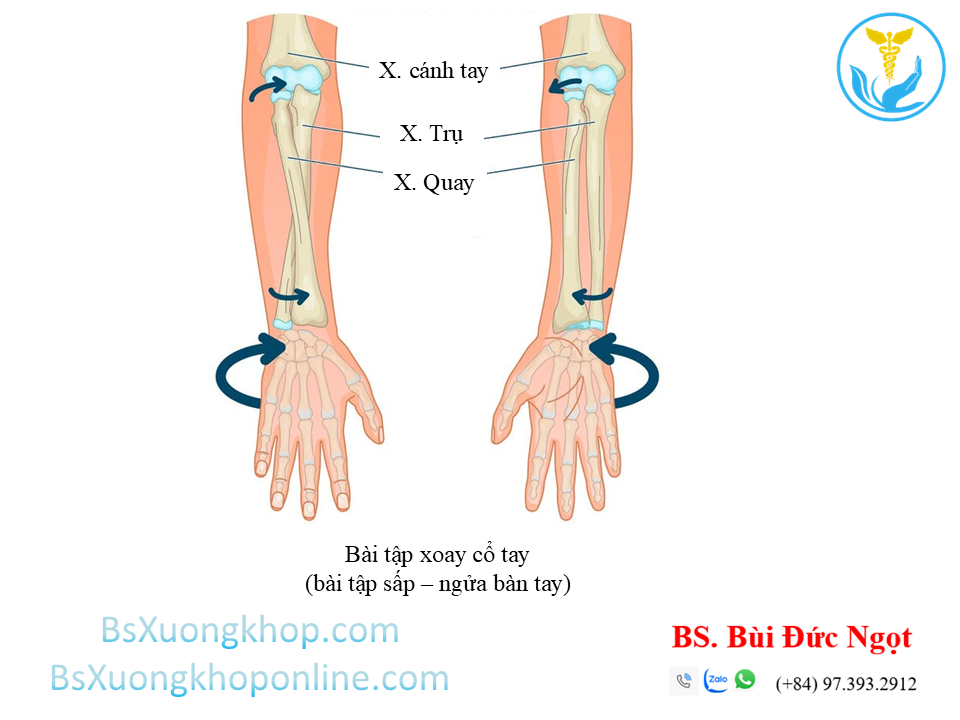 Bài tập cải thiện tennis elbow | BsXuongkhop.com