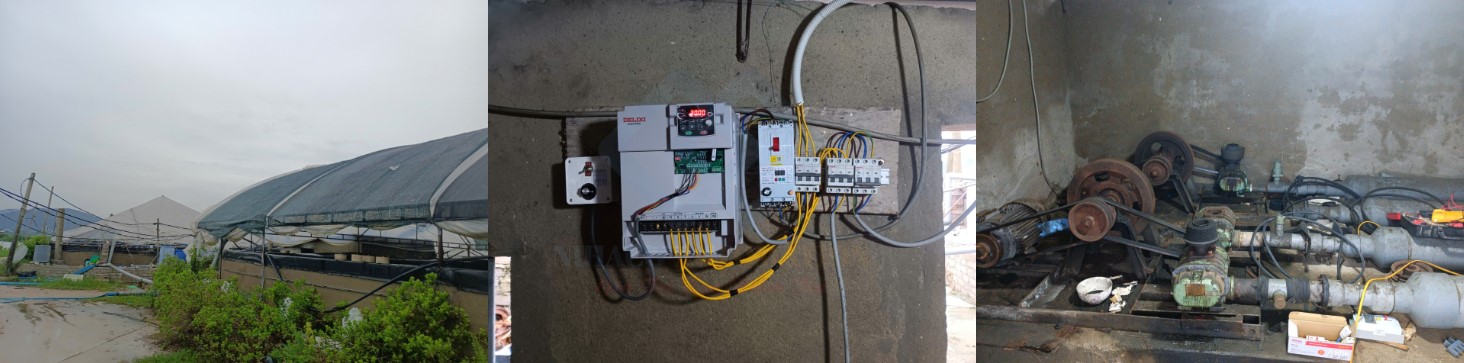 bien-tan-cho-dam-tom-tai-thanh-hoa-1