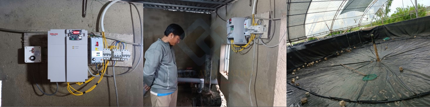 bien-tan-cho-dam-tom-tai-thanh-hoa