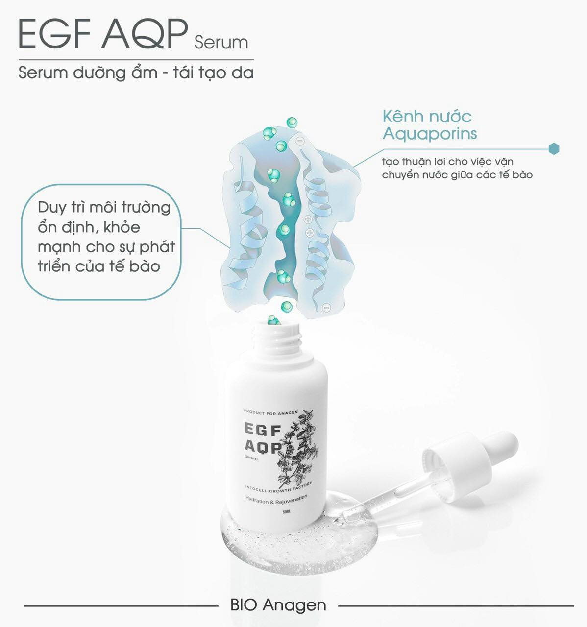 Serum phục hồi EGF AQP