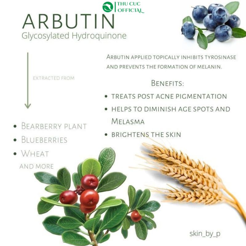 Thành phần Arbutin trong mỹ phẩm