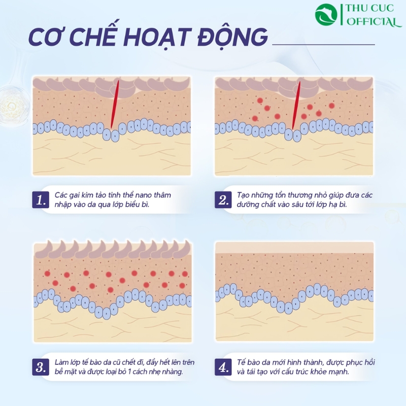 Cơ chế tác động của vi kim tảo biển Desembre
