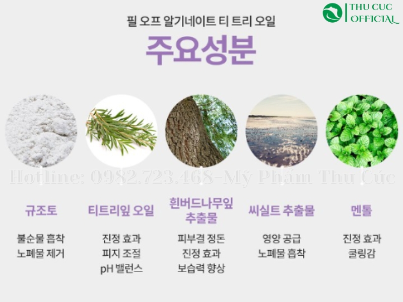 Thành phần chính trong Desembre Peel Off Alginate Tea Tree Oil