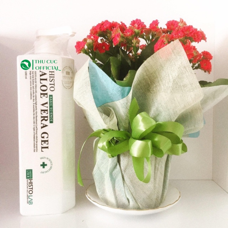 Histolab Histo Aloe Vera Gel