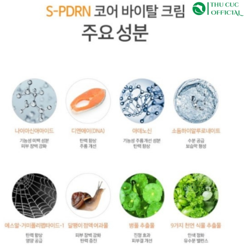 Thành phần chính trong kem dưỡng Desembre S-PDRN Core Vital Cream