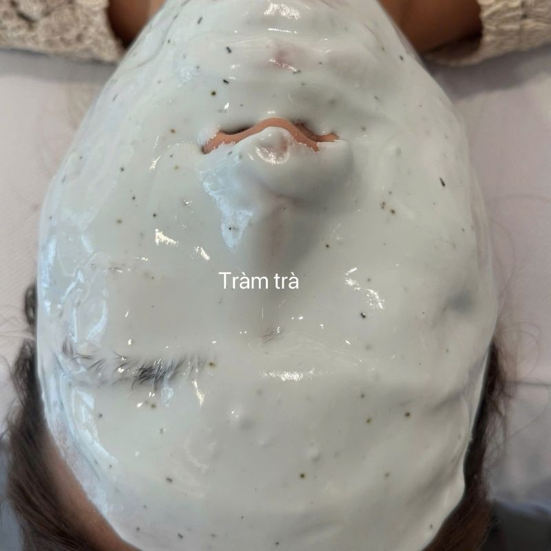 Hướng dẫn sử dụng Desembre Premium Tea Tree Modeling Mask