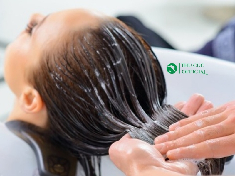 Phục hồi tóc sau tác hại của nước biển và hồ bơi