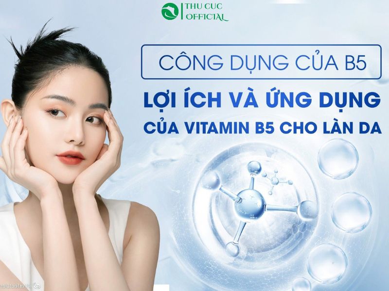 Hoạt chất Vitamin B5