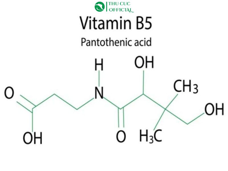 Vitamin B5 là gì