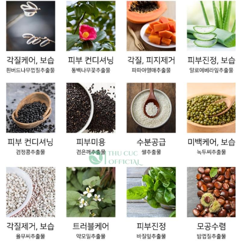 Thành phần chính trong tẩy da chết Skindom