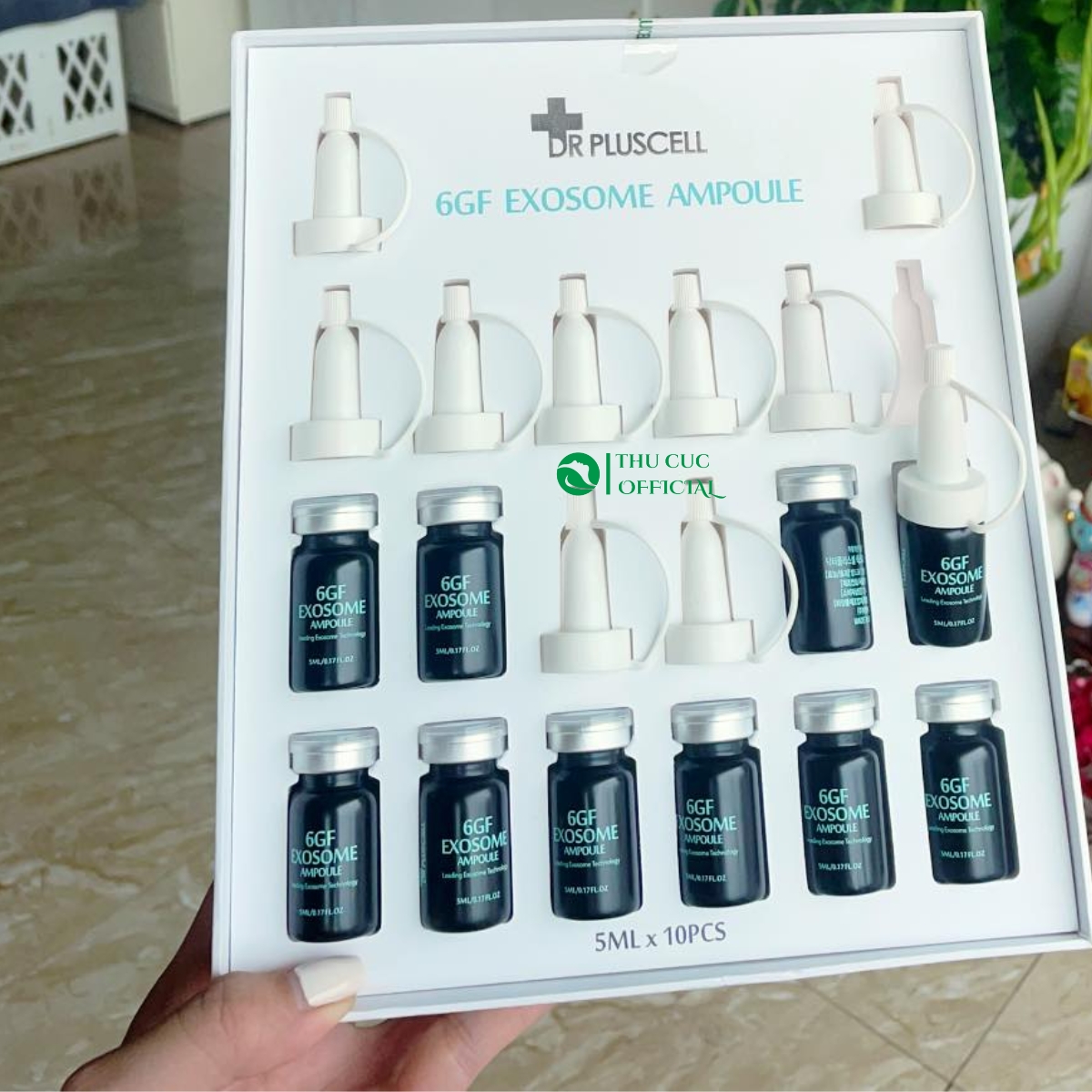 Tế bào gốc phục hồi 6GF exosome