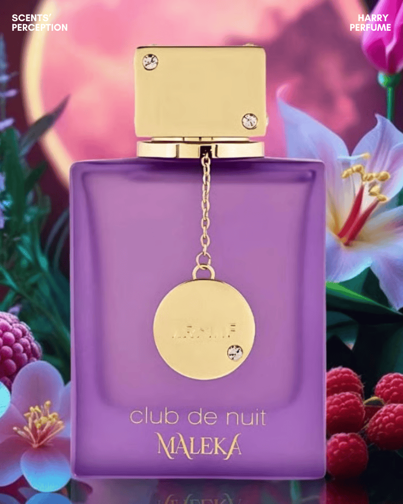 Thiết kế chai Club De Nuit Maleka EDP nổi bật với tông tím sang trọng, điểm nhấn vàng ánh kim và charm tinh tế, mang vẻ đẹp nữ tính, hiện đại và đậm khí chất “nữ hoàng”