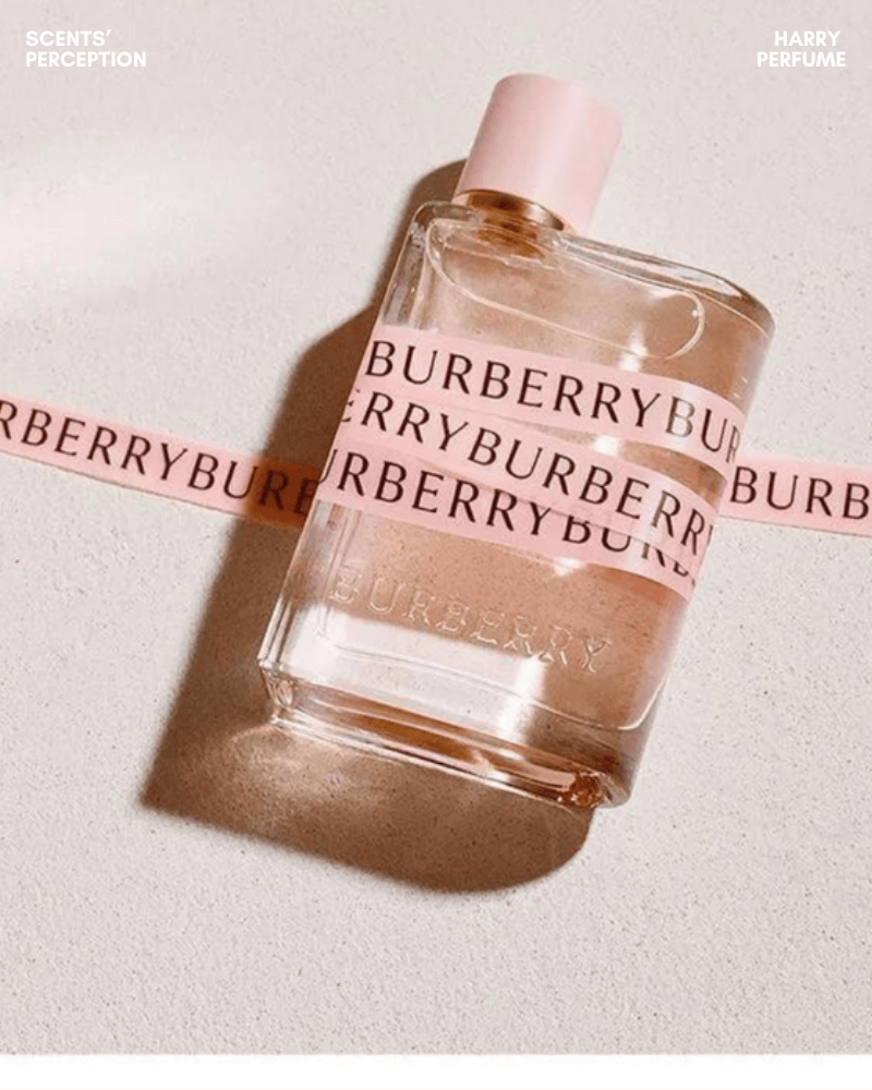 Burberry là thương hiệu Anh Quốc lâu đời kết hợp hài hòa giữa giá trị cổ điển và tinh thần hiện đại