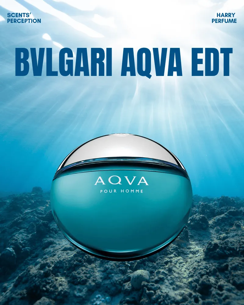 BVLGARI Aqva Pour Homme chứa đựng hương bạch đậu khấu, gỗ đàn hương và lá xanh