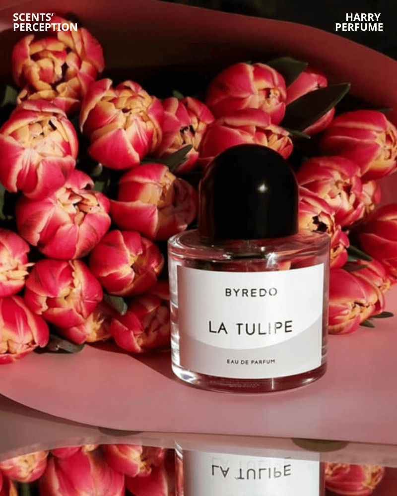 Byredo La Tulipe EDP mở đầu với cảm giác tươi mát, trong trẻo từ hoa lan Nam Phi, hoa anh thảo và đại hoàng