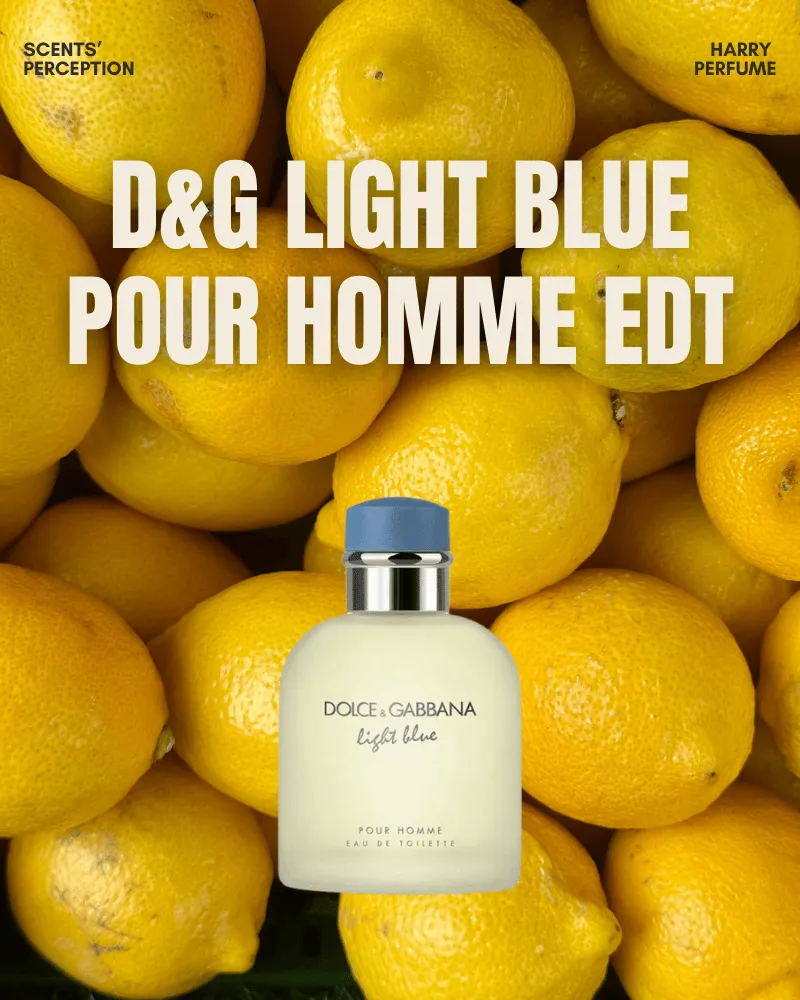 Dolce & Gabbana khởi nguồn từ Milan năm 1985, mang triết lý thời trang như một biểu tượng văn hóa sống động, tạo nên đế chế lộng lẫy và đầy dấu ấn trên bản đồ thế giới