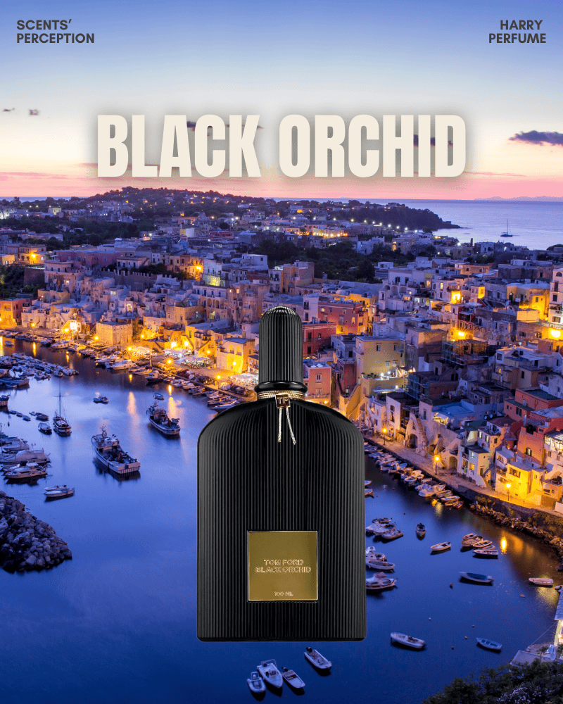 Tom Ford – kiến trúc sư của vẻ đẹp hiện đại, nơi những chất liệu xa xỉ hóa thành hợp hương đầy quyến rũ và táo bạo