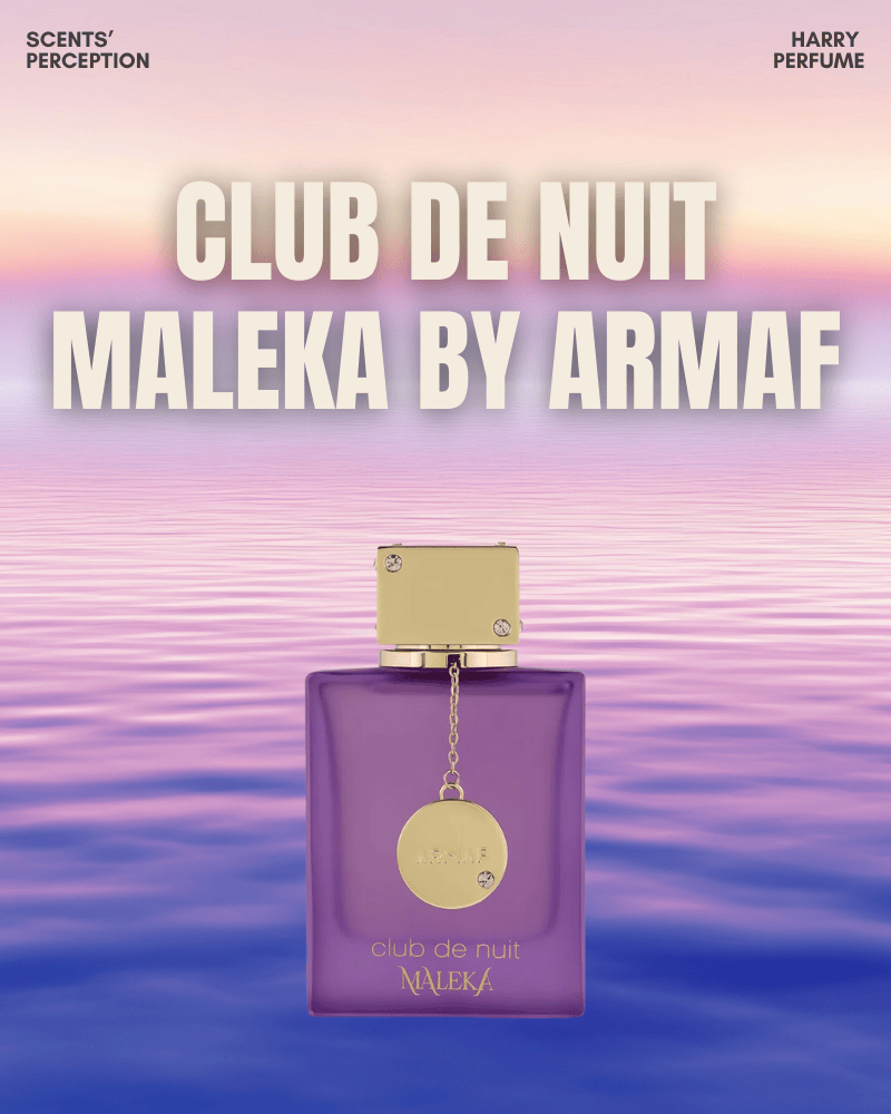 Club de Nuit Maleka là tuyên ngôn dành cho những “nữ vương” hiện đại – mạnh mẽ, tự tin và đầy cuốn hút.