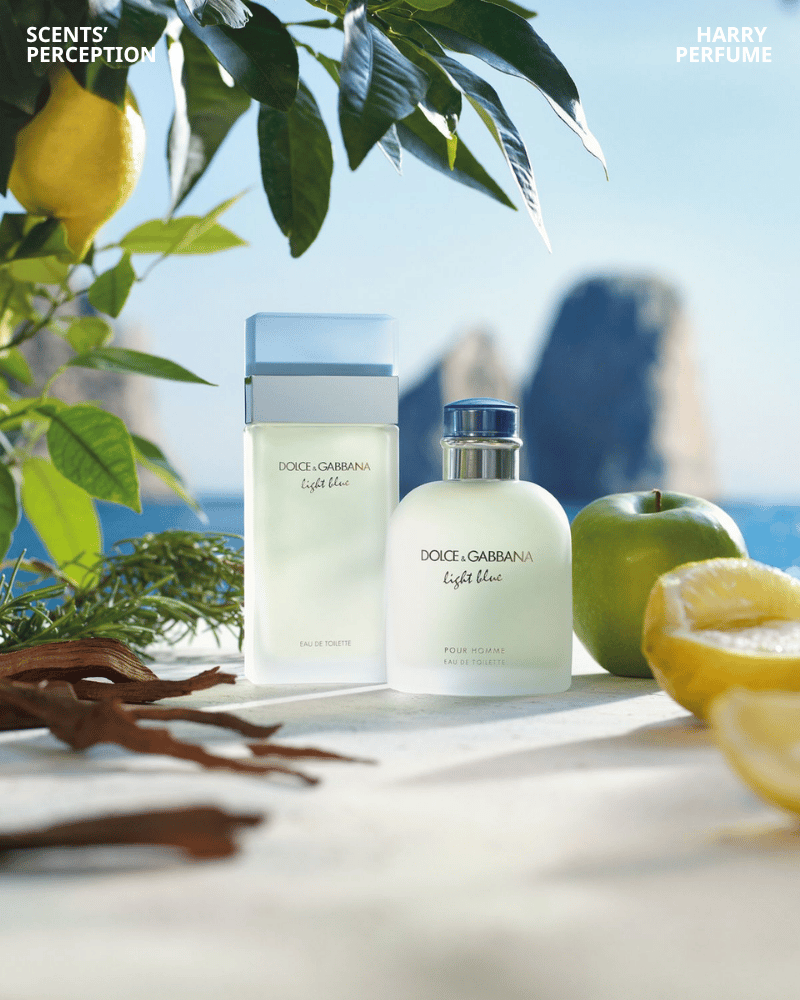 Dolce & Gabbana Light Blue Pour Homme EDT gợi cảm giác Địa Trung Hải tươi mát, nam tính, phóng khoáng và dễ dùng.