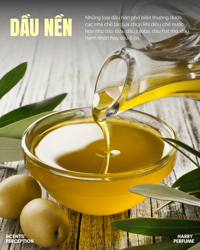 Dầu nền là loại dầu tự nhiên được ép lạnh từ hạt và quả thực vật, chứa nhiều dưỡng chất giúp dưỡng ẩm và nuôi dưỡng làn da.